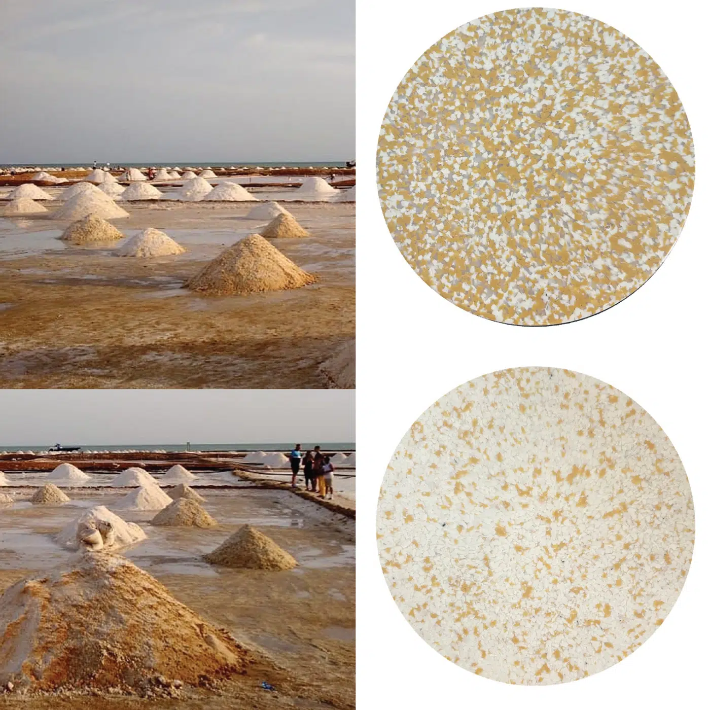 ECOPIXEL Guajira color palette